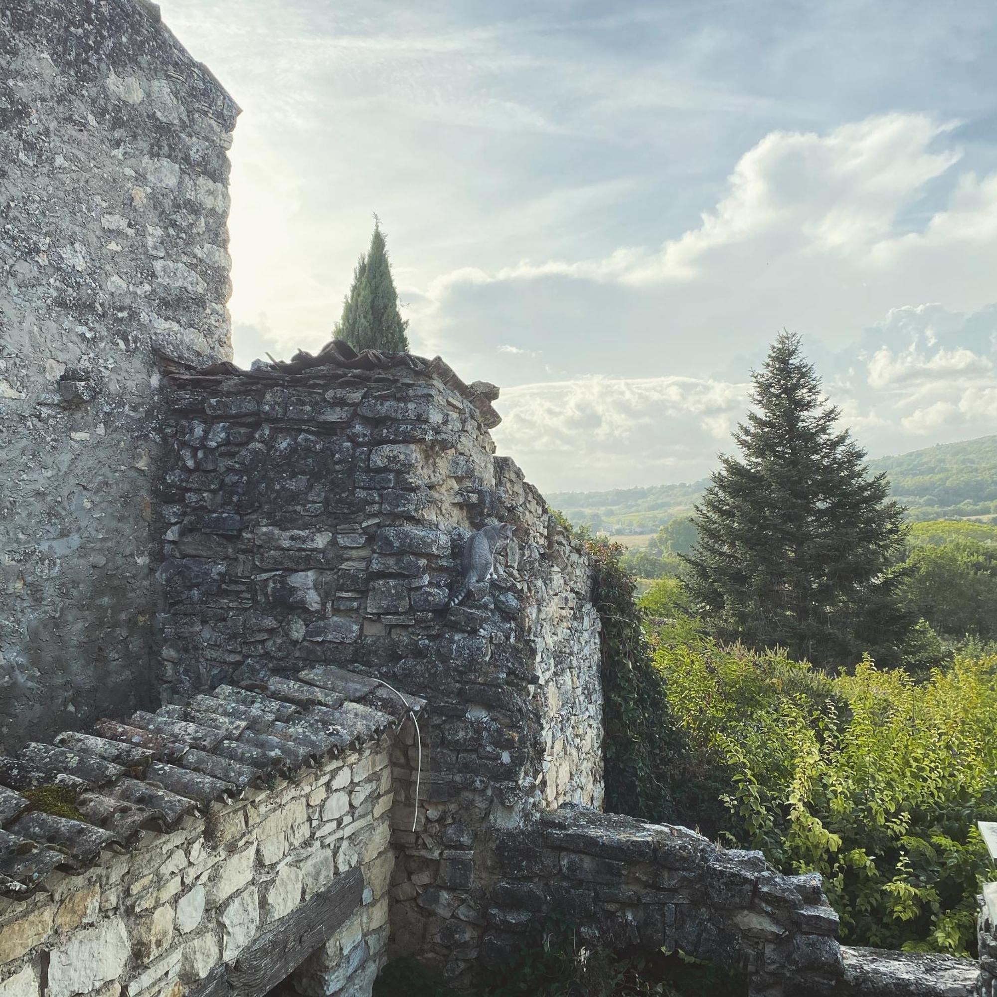 Saint-Martin-de-Castillon Auberge Du Boisset المظهر الخارجي الصورة